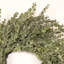 Couronne de porte 24 po-1443808886