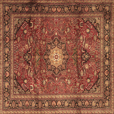Washable Oriental Indoor Rug