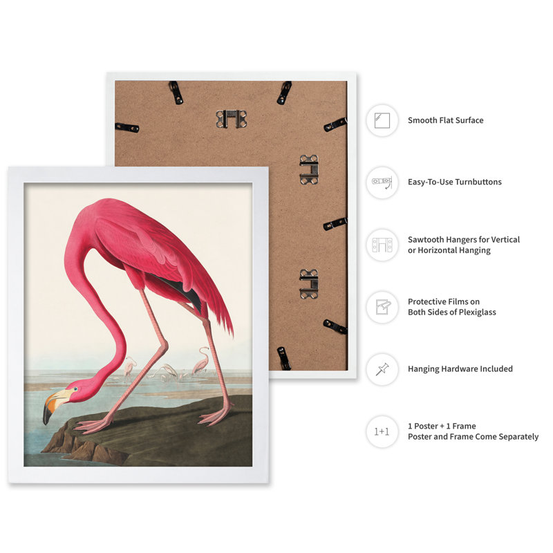 James Audubon - Flamant américain, Affiche, H 24 po x l 32 po, Encadrement blanc