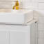 Lyvia Freestanding Back To Wall Toilet Unit