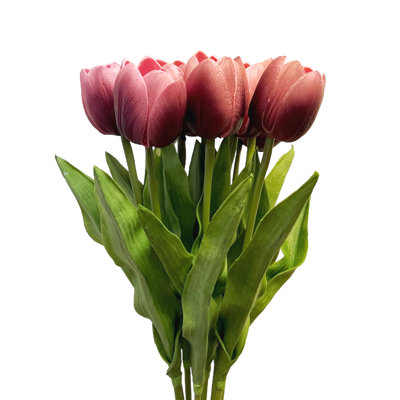 Tiges de tulipes