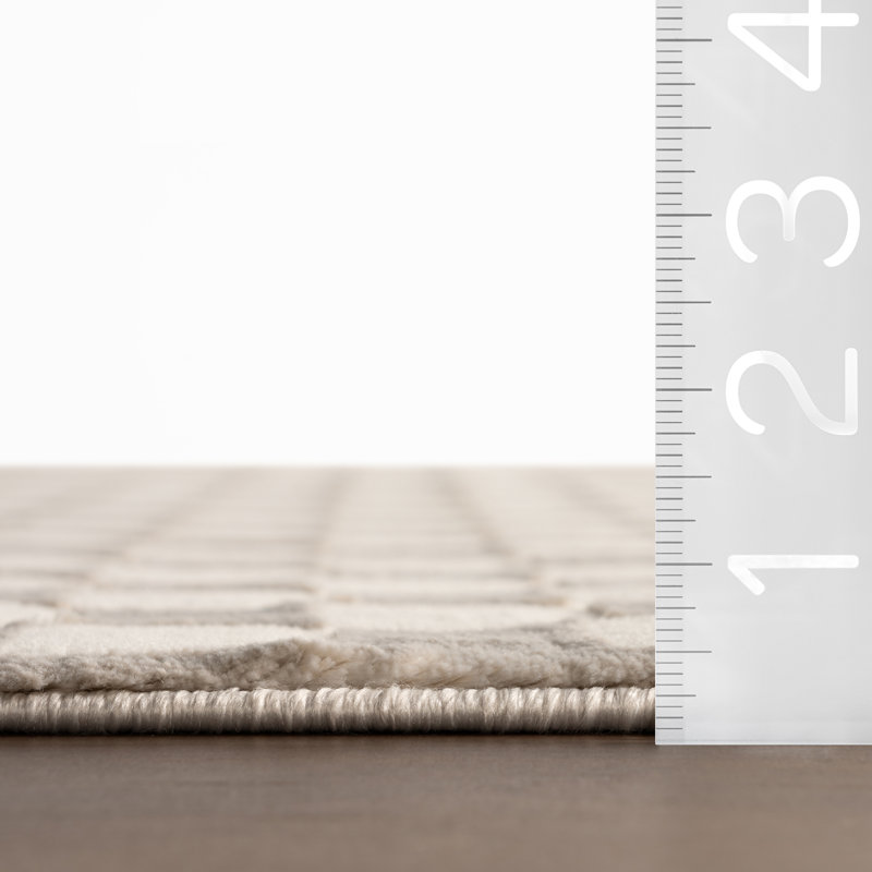  Faelora Checkered Washable Area Rug, Rectangle 6'7" x 9'1", Ivory