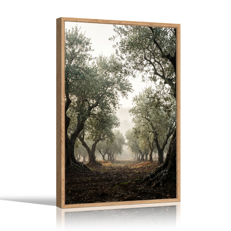 Art antique sur toile "Olive Trees in Foggy Morning Light", H 48 po x l 32 po