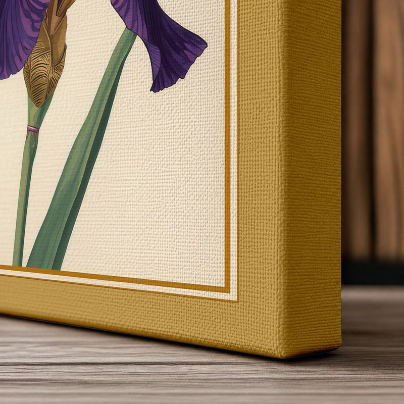 Purple Iris Study Botanical - Wrapped Canvas, 24x16 - 61.0 x 40.6 cm, Ochre Border