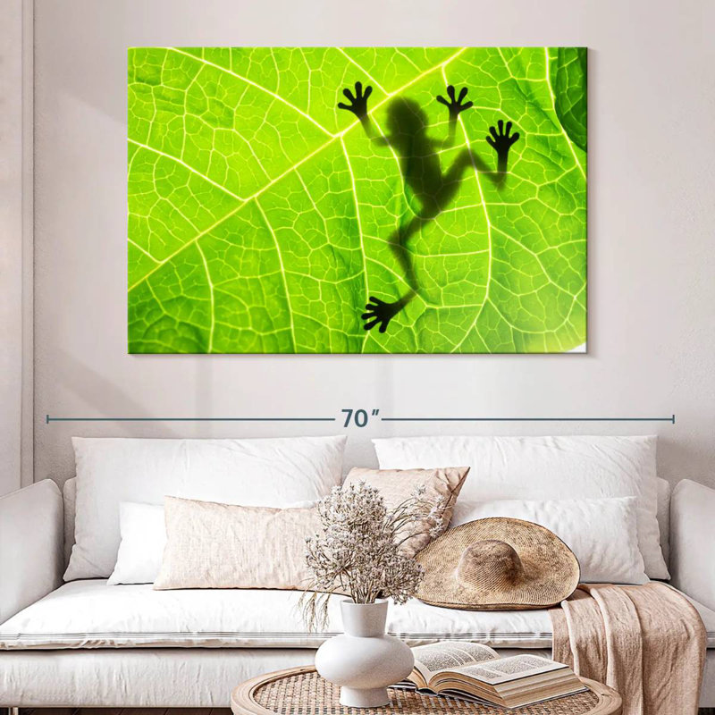 Brampt Frog Leaf Shadow
