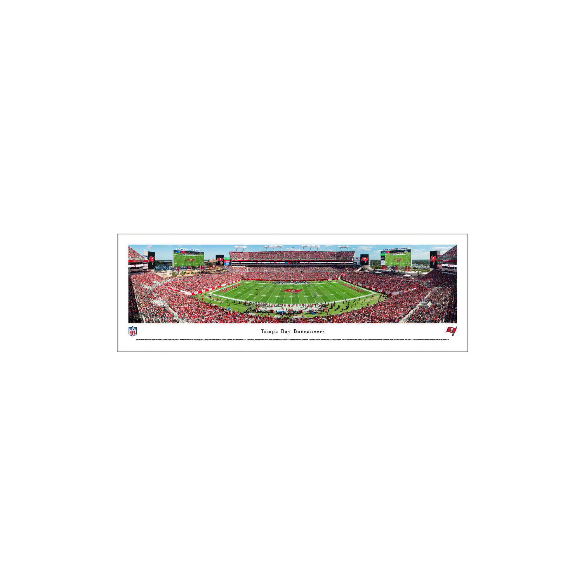 Tampa Bay Buccaneers Panorama Print