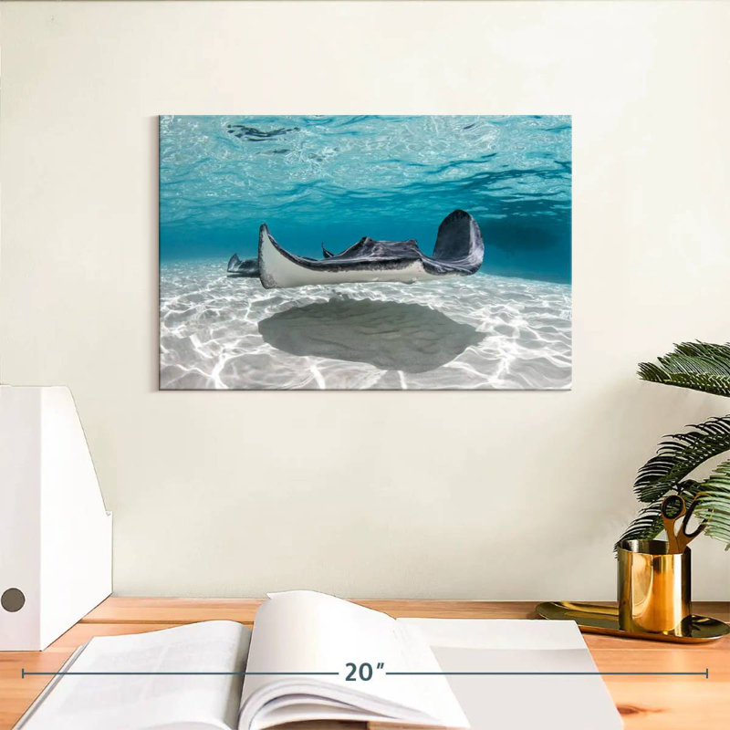 Crowle Cayman Palms Stingray, H 8 po x l 12 po