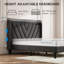 Lit tapissier capitonné en velours avec station de charge et tablette de rangement (gris foncé, double)-1952260841-1952260839