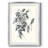 Timote -Gallery Wrapped Canvas