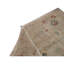 Wool Oriental Area Rug in Gold