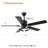 Classic Solid Wood Ceiling Fan 3 Colour Dimmable LED Light Kit & 6 Speed-1582527757