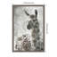 Reproduction d'art sur toile encadrée "Lama"-716482898