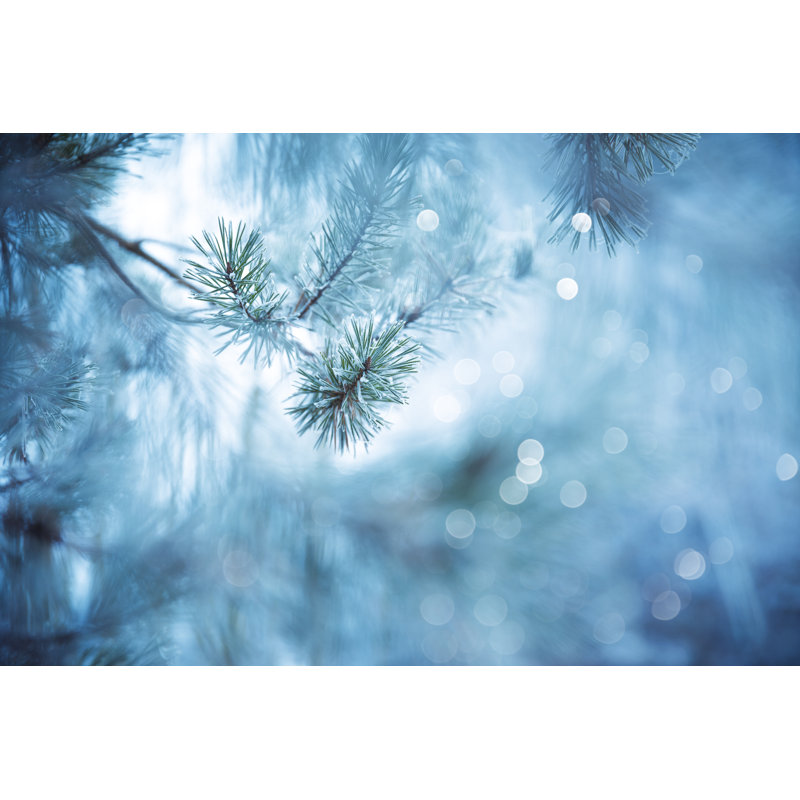 Winter Background by Borchee - Wrapped Canvas Print, 61cm H x 91cm W x 3.8cm D