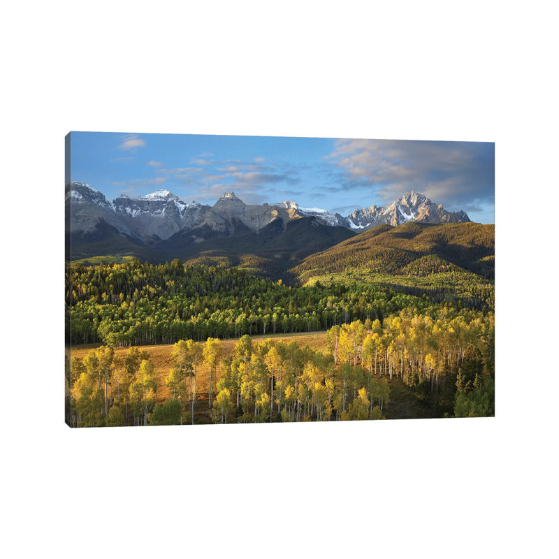 Quaking Aspen Forest And Mount Sneffels, San Juan Mountains, Colorado by Tim Fitzharris - Wrapped Canvas Print
