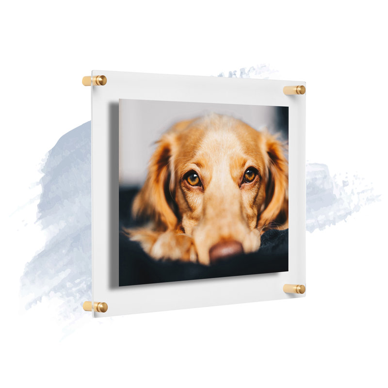 Devian Clear Acrylic Floating Picture Frame, 11" x 14", Gold