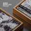 «Winter Snow Forest Trees» sur-99141681-99141682