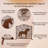 Metal Western Fireplace Screen Single Panel with Long-Tailed Horse Design