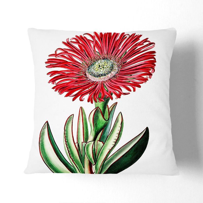 Square Throw Cushion, 55cm H x 55cm W x 20cm D, White