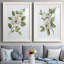 «Magnolia Morning I», reproduction encadrée de qualité supérieure - prête à être accrochée-152898337-152898336