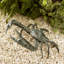Crab Garden Statue