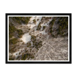 Tree Tops II Print by Tim Klein