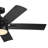 52'' Ceiling Fan with LED Lights-442598559
