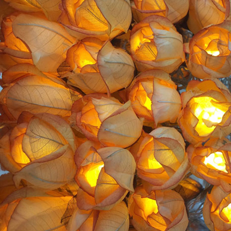 Vold LED Handmade Paper Roses String Light, Golden Peach