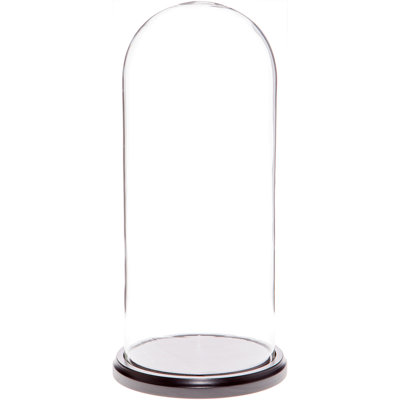 Vucciria 5.5" x 13" Glass Display Dome Cloche