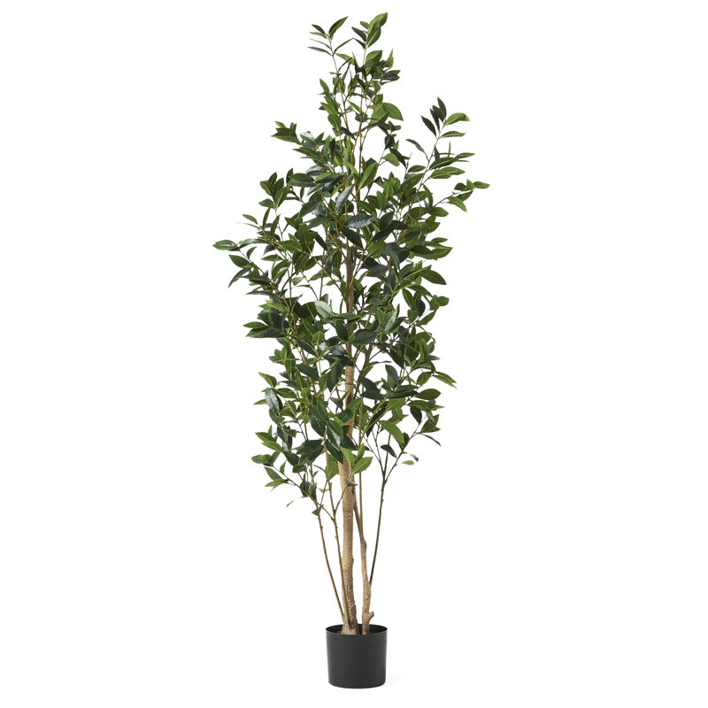 Plante artificielle de 180 cm - Rendez votre maison plus verte rapidement pour une attirance instantanée. P 25,73 po x H 72,86 po - l 29,56 po