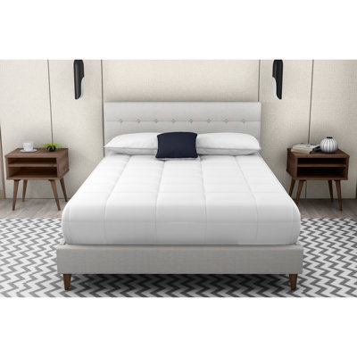 Grand lit rembourré avec 2 tables de chevet, couleur pierre, 100%, table de chevet noyer séduisante, chambre à coucher beige classe attrayante, splendeur