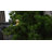 Panama Artificial 50" Tall Bonsai Tree in Fiberstone Planter