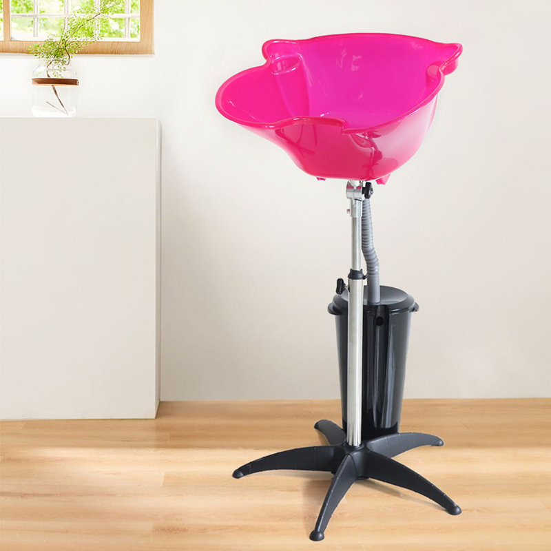 Hair Salon Shampoo Sink