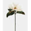 White Faux Magnolia 29"