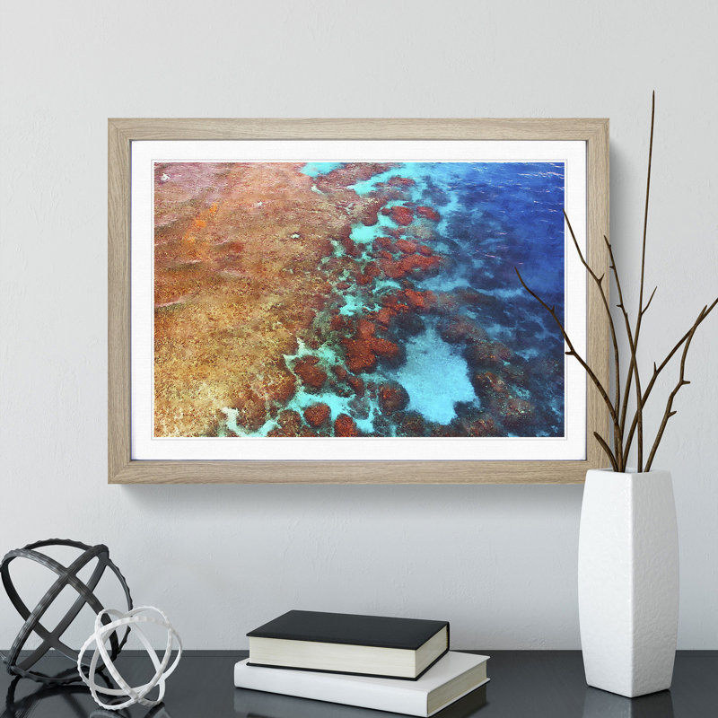 The Great Barrier Reef Coral - Picture Frame Graphic Art, Oak, 36cm H x 48cm W x 2cm D