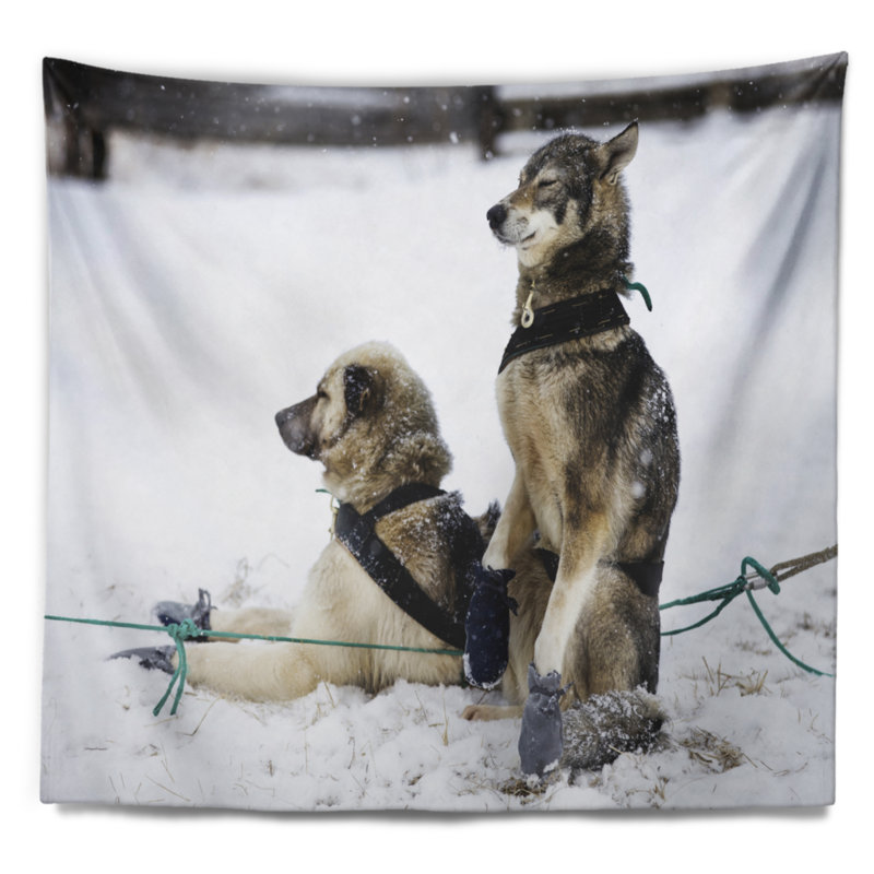 Polyester Tapestry, 50" H x 60" W