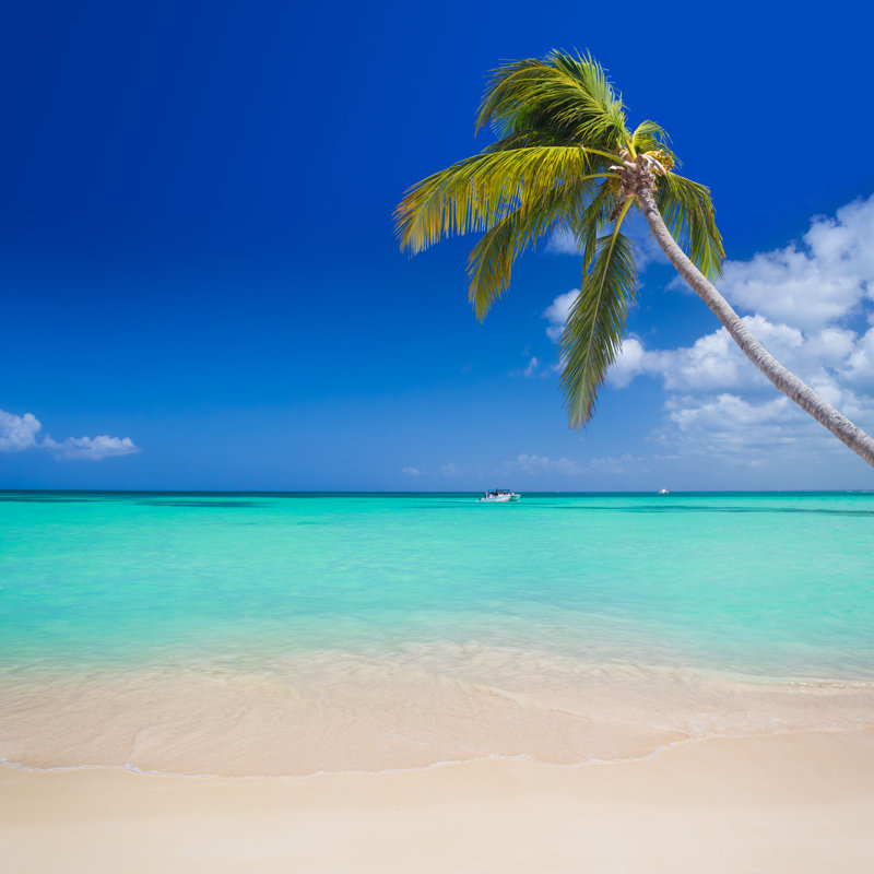 Tropical Beach - Wrapped Canvas Print, 51cm H x 51cm W x 3.8cm D