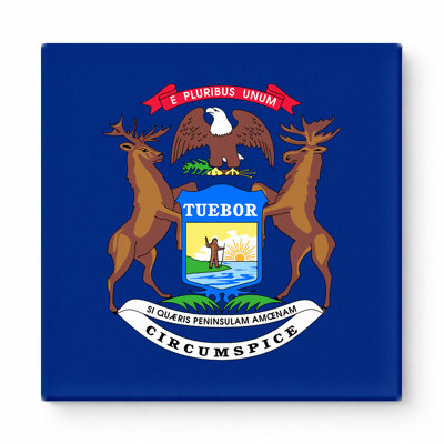 Michigan State Flag — Square Canvas Wall Art