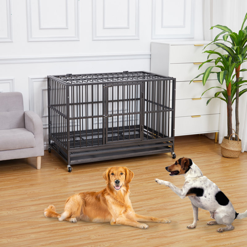 Chenil d'extérieur pour animaux 6x6FT