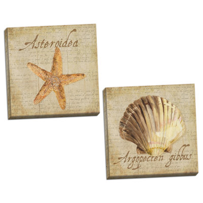 2 - Pieces Coastal