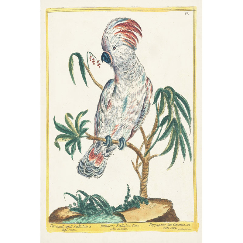 Pastel Birds II - Wrapped Canvas Art Prints, 122 cm H x 81 cm W, Wrapped Canvas