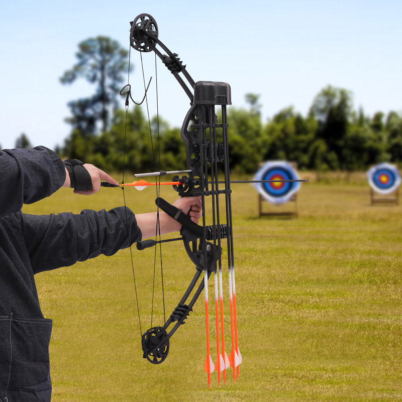 OUKANING Compound Bow Kit with 12 Arrows and Carrying Bag