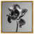 Gold Floater Frame selected