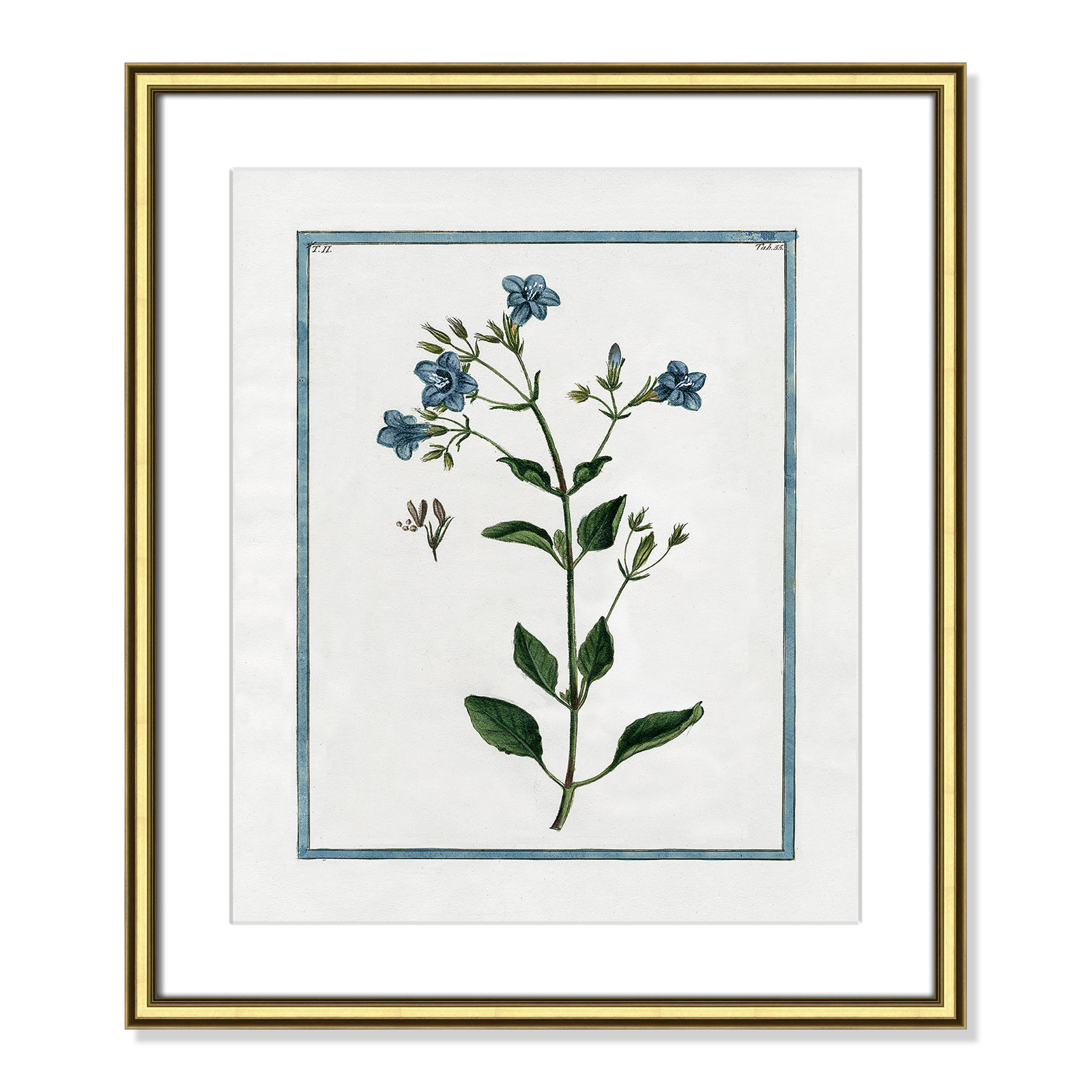 Colombe "Shabby Elegance Botanical II" Print, Gold Framed, 17.25" W x 20.25" H