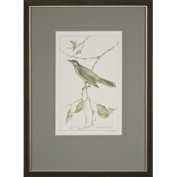 Honeysucker Print