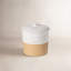Scotia Stoneware Jar-494077055