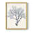 Doré