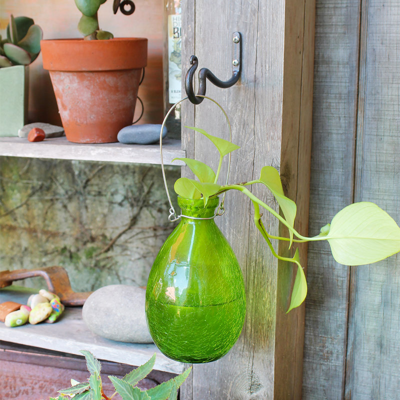 Vase à racine déchirante Sanora, Jaune, H 7 po x l 4,25 po x P 4,25 po