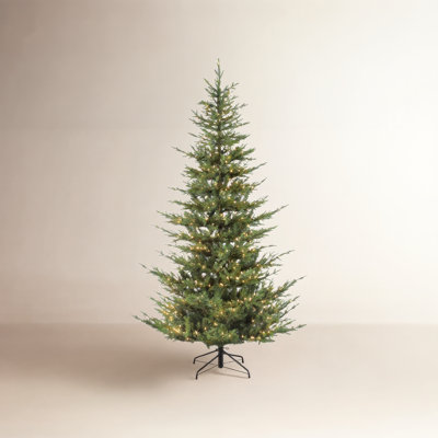 Lighted Fir Christmas Tree