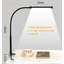Burnetti Clip On Lamp