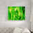 Plexi